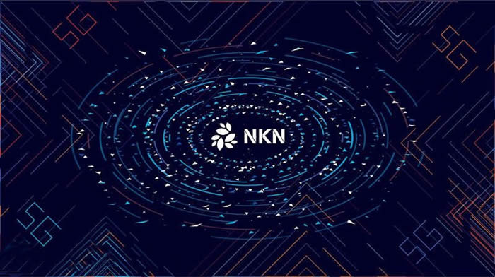 图片[1] - NKN币可以投资吗?NKN币前景和价值分析