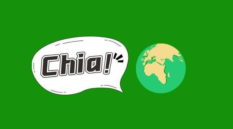 图片[1] - Chia(奇亚)挖矿必看 chia奇亚挖矿硬件科普