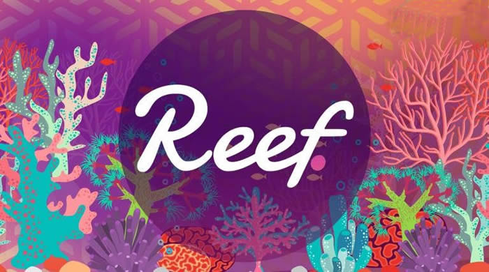 图片[1] - REEF是什么币种?REEF币未来价值怎么样