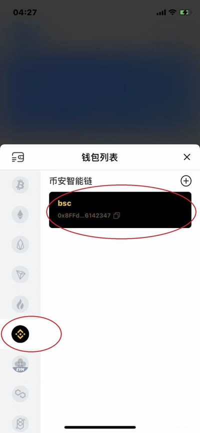 图片[2] - TokenPocket钱包连接DOTC使用教程