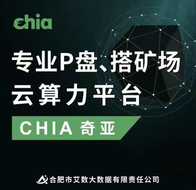 图片[1] - 什么是P盘？chia奇亚矿池搭建