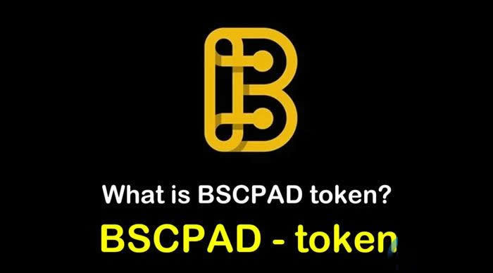 图片[1] - BSCPAD币发行价多少?BSCPAD币怎么样详细介绍