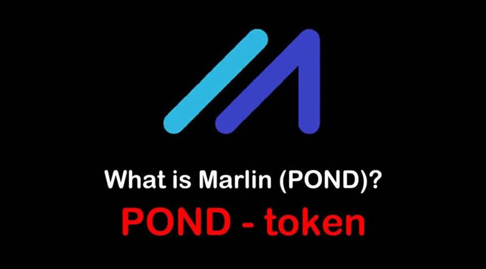 图片[1] - POND是什么币种?POND币前景和价值深度分析