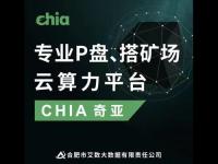 什么是P盘？chia奇亚矿池搭建