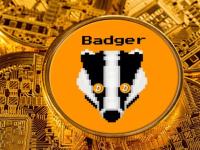 BADGER是什么币种?BADGER币前景如何