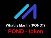 POND是什么币种?POND币前景和价值深度分析