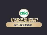 chia(奇亚)项目到底是骗局还是机遇?