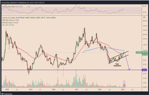 图片[2] - 莱特币假头反弹? LTC价格技术指标暗示暴跌65%