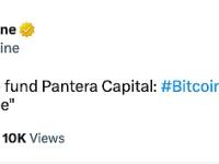 Pantera Capital：比特币已经处于下一个牛市周期