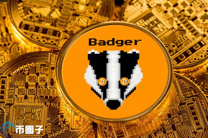 图片[1] - BADGER是什么币种？BADGER币前景怎么样？