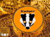 BADGER是什么币种？BADGER币前景怎么样？