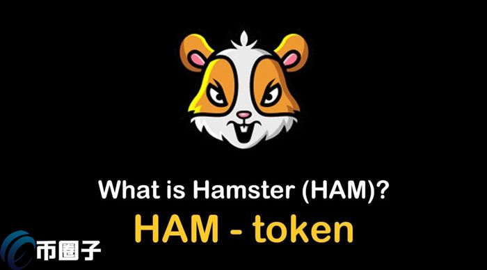 图片[1] - HAM是什么币种？一文了解仓鼠币/HAM币