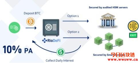 图片[6] - Rio DeFi（RFUEL）：加速数字资产普及的波卡生态区块链