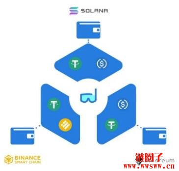 图片[1] - 什么是Swim Protocol (游泳协议)？