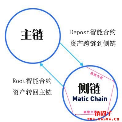 图片[1] - 获得Coinbase和Binance支持并孵化的项目Matic Network是什么？