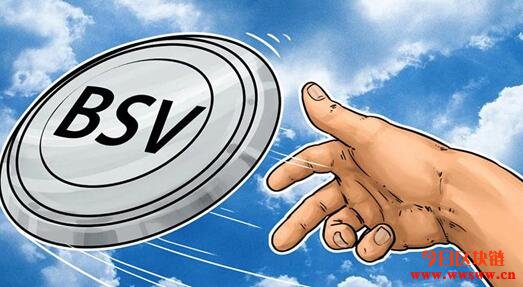 图片[1] - Bitcoin SV (BSV) 是什么？