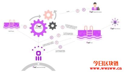 图片[4] - Reef Finance（REEF）：波卡的DeFi流动挖矿跨链平台