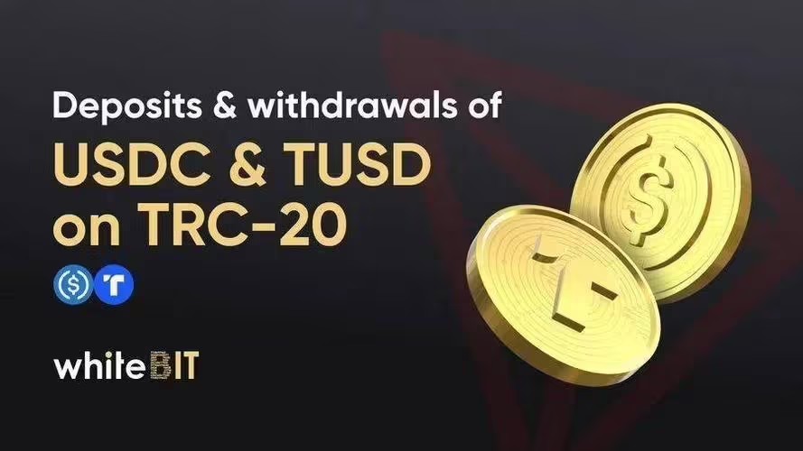 图片[1] - usdt波场钱包下载_usdt-trc20钱包下载