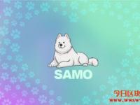 什么是Samoyedcoin（SAMO）？