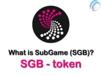 SGB是什么币种？SGB币前景及价值分析