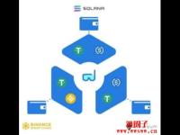 什么是Swim Protocol (游泳协议)？