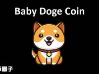 BABYDOGE币在哪里买？宝贝狗币上线交易所大盘点