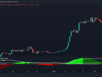 臭名昭著的比特币出价墙试图将价格推高至 25,000 美元以上，BTC 能否走高？