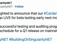 SingularityNET将于下个月推出Cardano质押门户网站beta测试版本