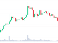 shib最新消息分析（SHIB今年以 23% 的价格涨幅超过狗狗币）