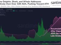 ada币最新情况（Cardano 正在快速增长）