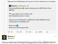 Binance：由于币安智能链网络升级后出现节点问题，已暂时关闭BSC充提业务