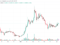 shib最新消息分析（ 鲸鱼累积了2290亿柴犬代币）