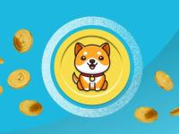 babydoge官方最新消息（Baby Doge币在24小时内上涨20%）