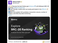 BitKeep钱包已上线BRC-20 Ranking