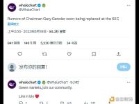 whalechart：传美SEC主席很快将被替换