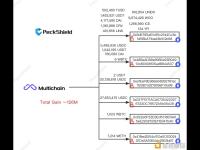 派盾：Multichain漏洞利用损失约1.26亿美元