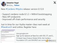 Cardano主网二层扩容协议Hydra发布新版本V0.12.0，启用新API