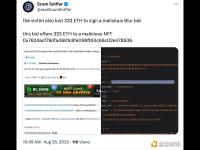 一巨鲸因签署恶意Blur竞标损失了333枚ETH