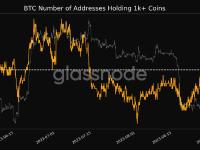 持有至少1000枚比特币的地址数达到2020个，创1个月新高