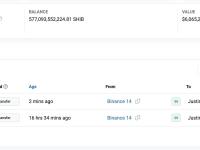 孙宇晨再次从Binance转出770亿枚SHIB，价值81万美元