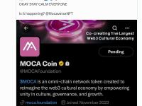 代币项目“MOCA Coin”或与Animoca Brands/Mocaverse有关且未遭Yat Siu正面否认