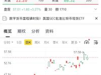 Hashdex比特币ETF盘前最新报价57.01美元