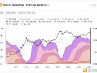 Crypto Quant创始人：比特币长期牛市周期仍在持续