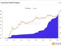 Crypto Quant创始人：BTC累积钱包目前持有170万枚BTC，价值680亿美元