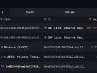 DWF Labs 8小时前将50万枚API3充值进Binance