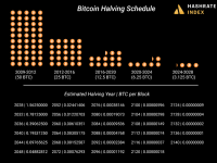 Hashrate Index：对2024比特币挖矿业的预测