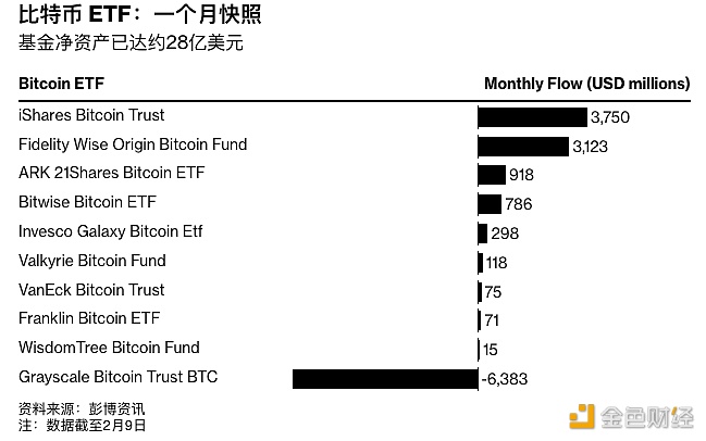 图片[1] - 现货比特币ETF推出一个月后从关键指标来看“被认为是成功的”