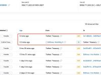 0x1dBb开头巨鲸自去年10月底以来已从Tether Treasury收到34.5亿枚USDT