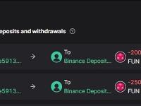 DWF Labs几分钟前将2亿枚FUN存入Binance