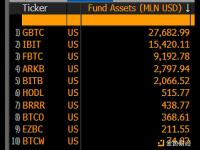 资管规模最小的比特币现货ETF在2024年美国上市的108支ETF中排名第16位